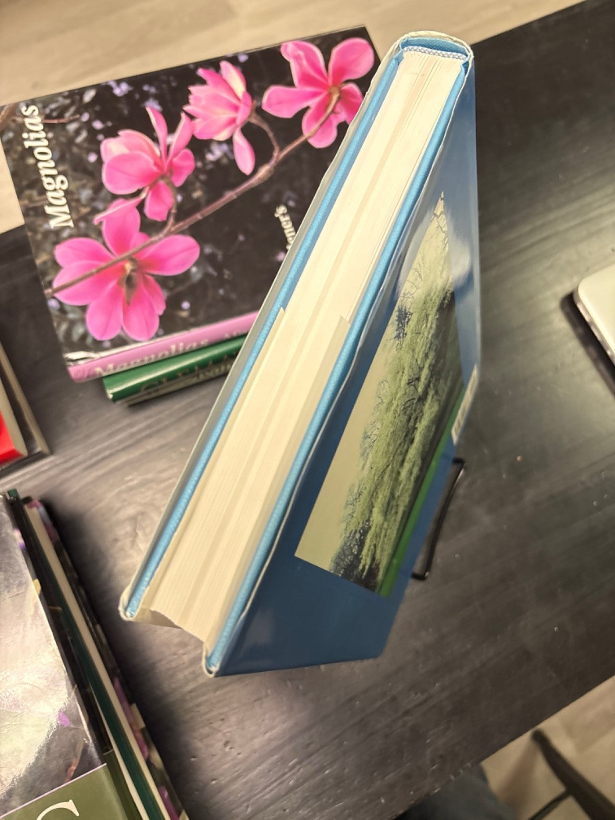 8277abb9-613e-4478-998a-adc7e8fa21fe