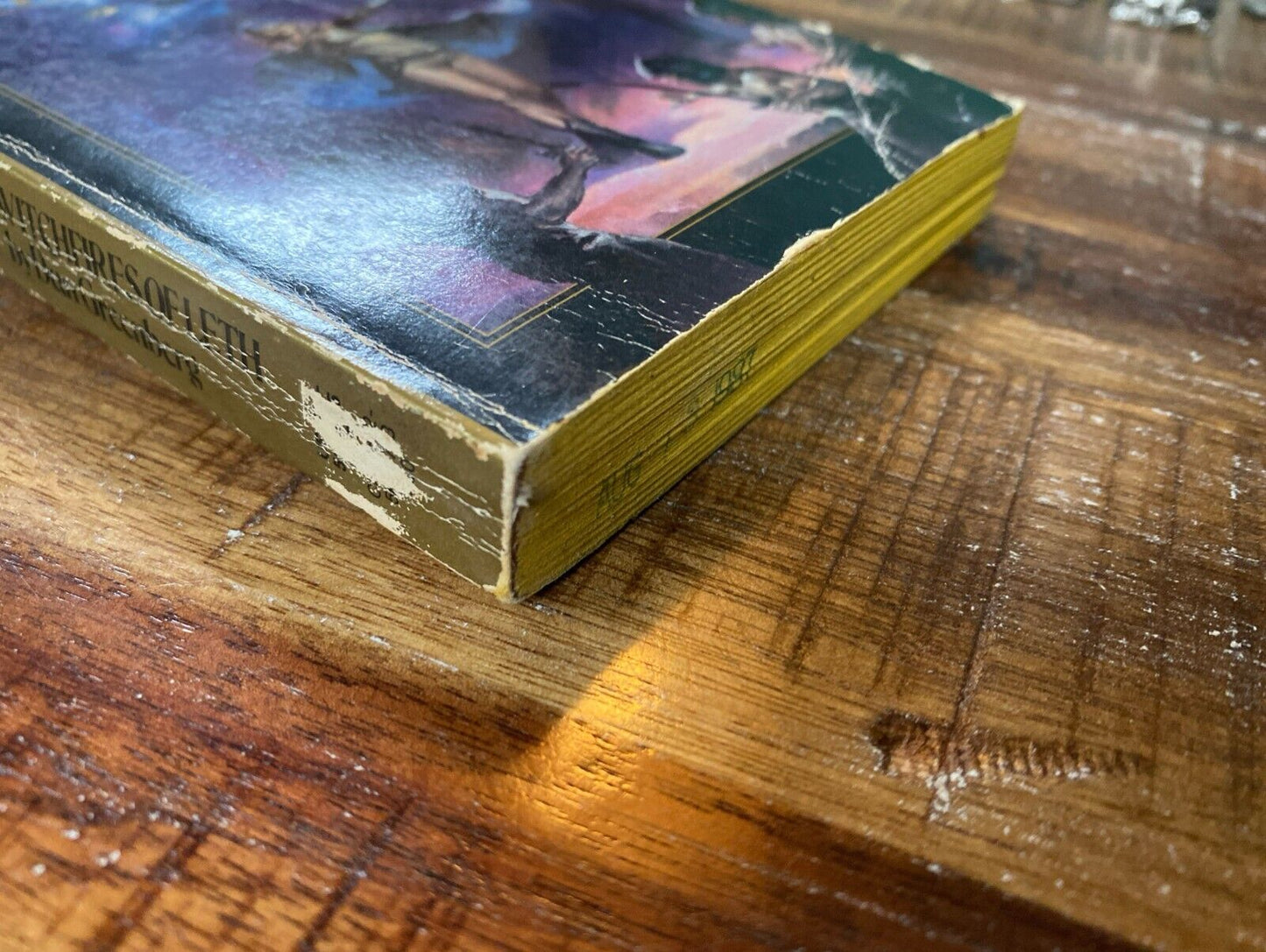 The Witchfires of Leth by Dan Greenberg 1987 Tor Paperback Crossroads Adventure