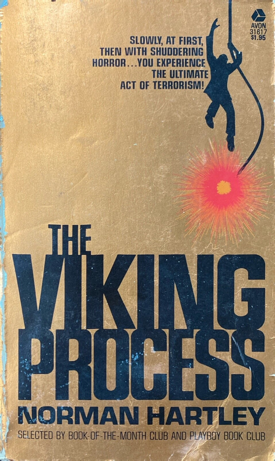 The Viking Process by Norman Hartley 2977 Avon 31617 Paperback