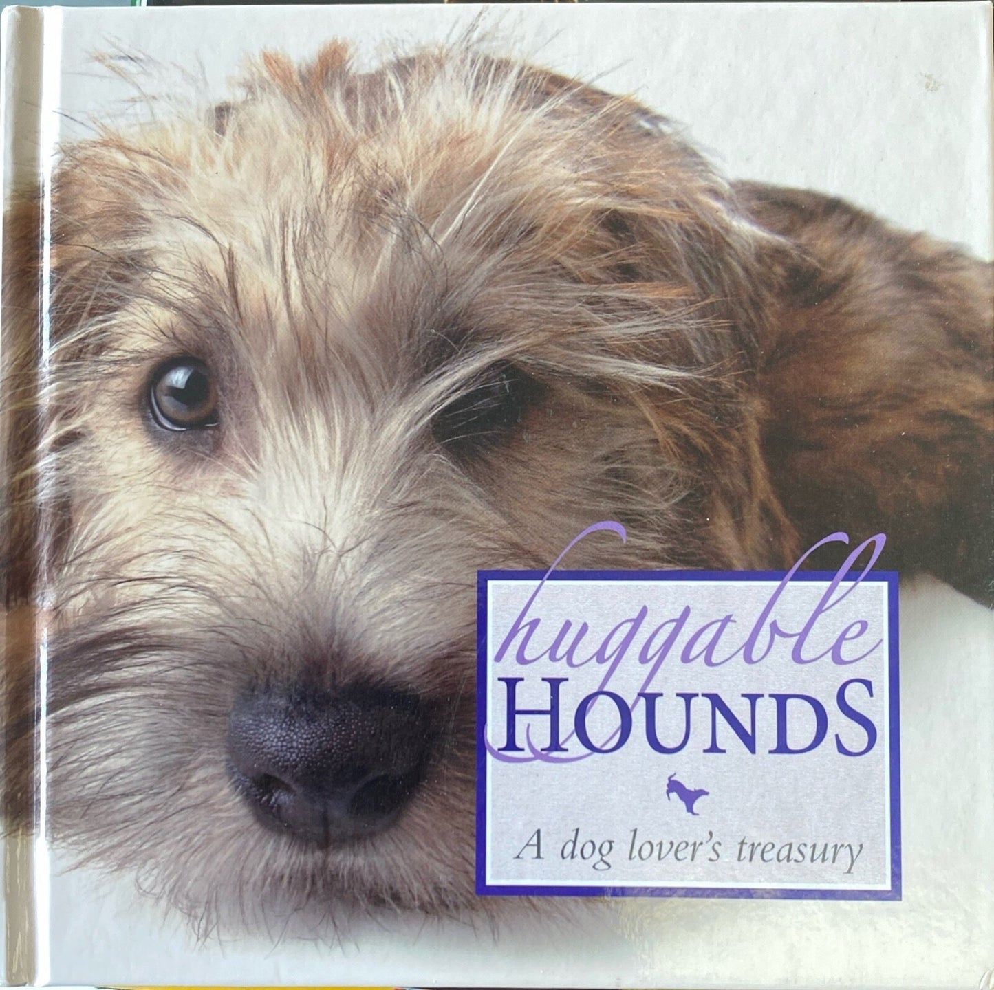 Huggable Hounds: A Dog Lover's Treasury 2007 Quercus Hardcover Import