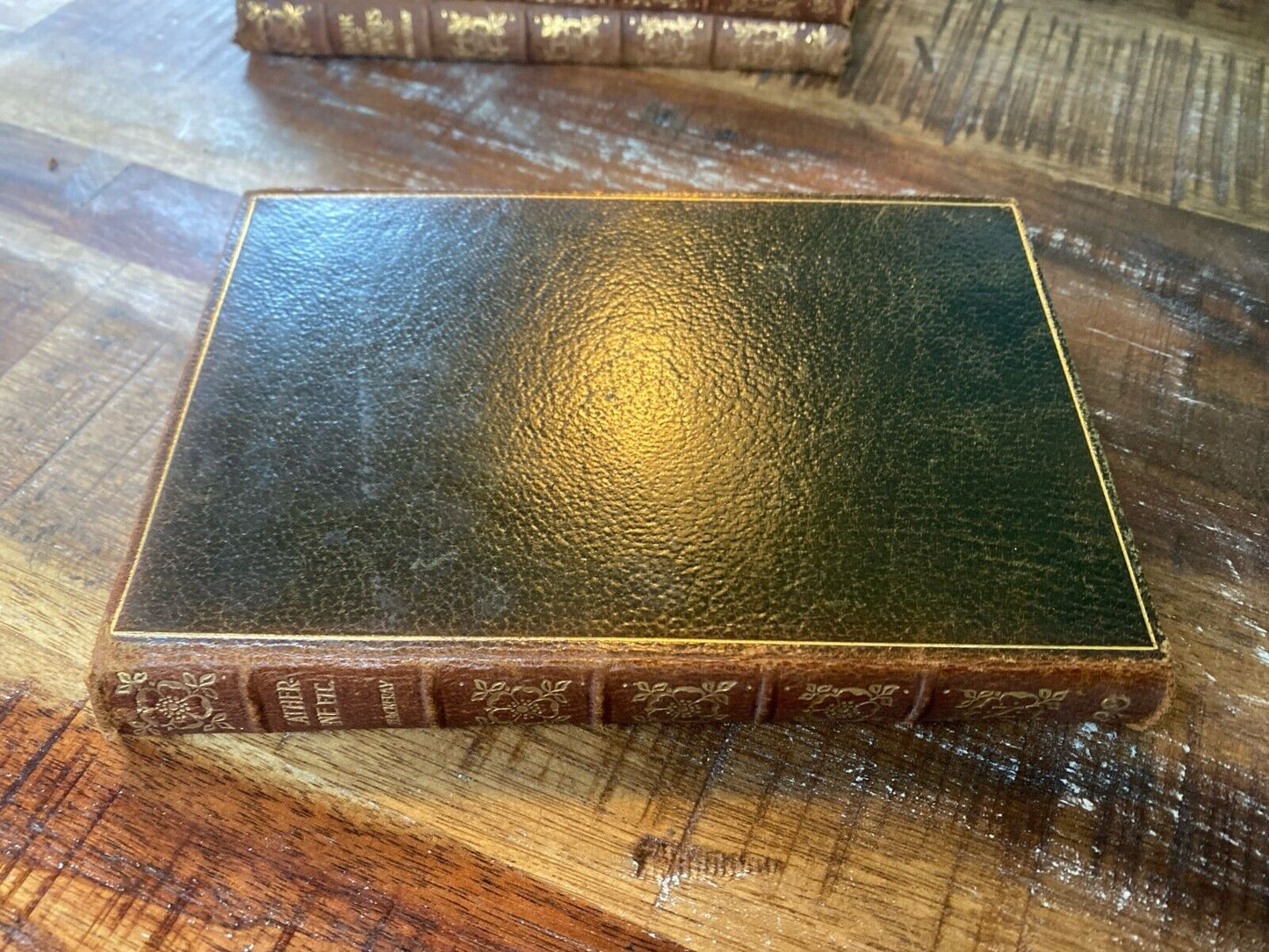 Catherine, Etc. by W.M. Thackeray 1901 New Century Library Leather