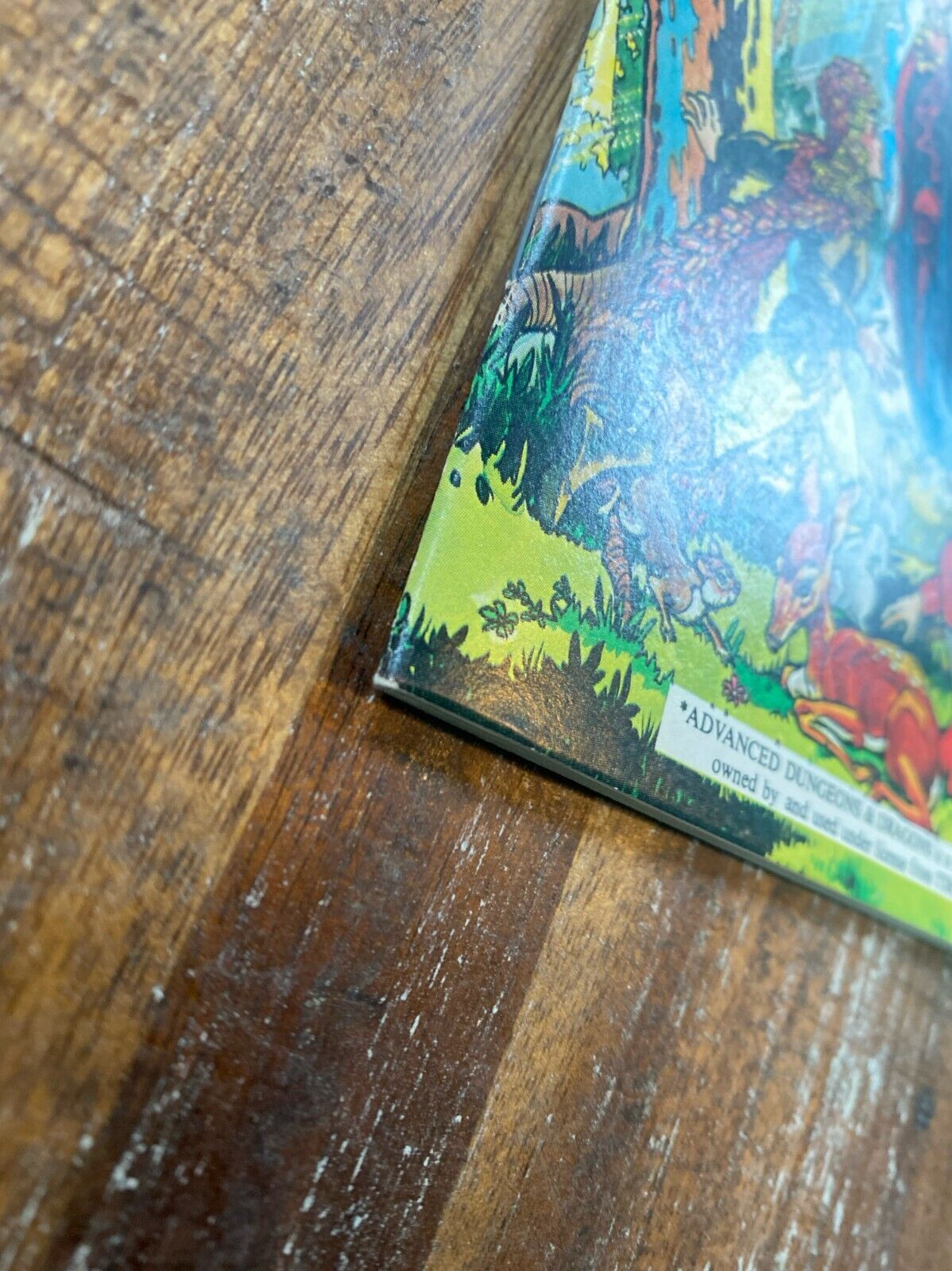 Advanced Dungeons & Dragons Storybook: The Forest of Enchantment Marvel Books