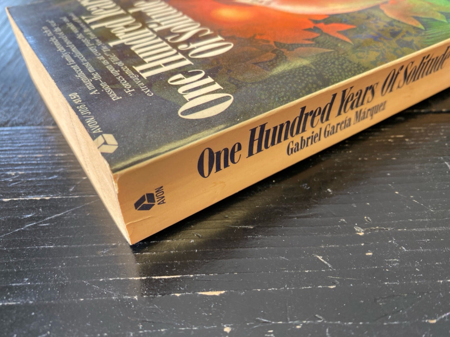 One Hundred Years of Solitude by Gabriel Garcia Marquez 1971 Avon J106 First