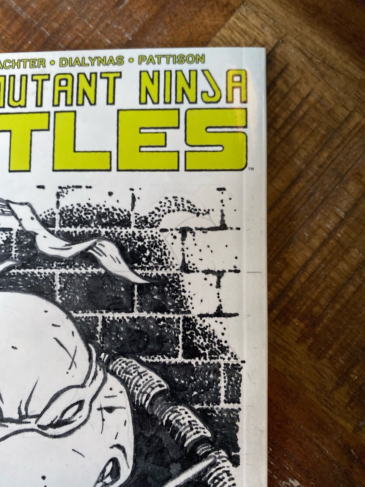 IDW Teenage Mutant Ninja Turtles #100 RE David Petersen Original Art Raphael