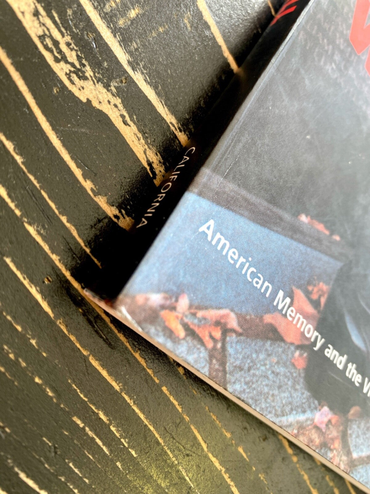 Carried to the Wall: American Memory and the Vietnam Veterans Memorial by Hass