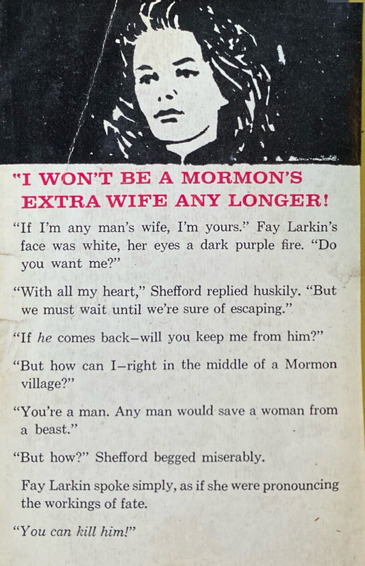 The Rainbow Trail by Zane Grey 1961 Pocket Cardinal C-430 Paperback First