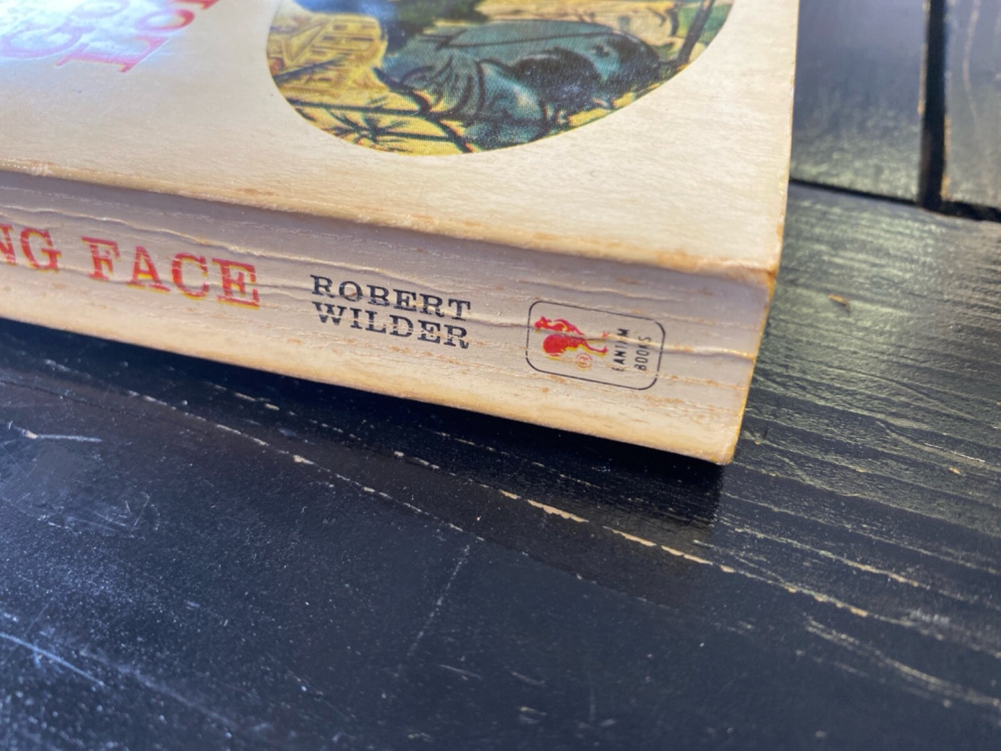 God Has a Long Face by Robert Wilder 1968 Bantam N3820 Paperback