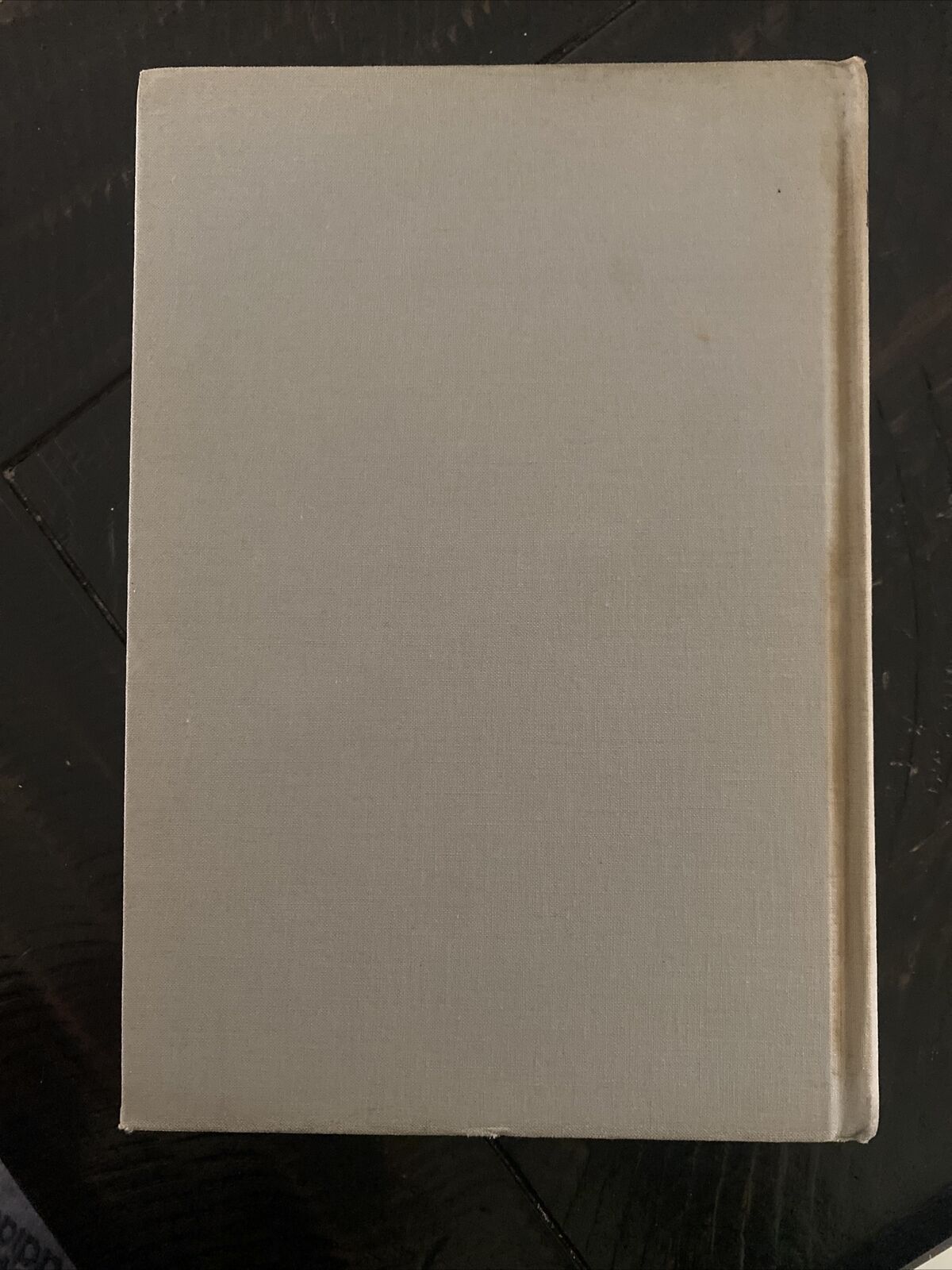 Munich Playground by Ernest R. Pope 1941 Putnam Hardcover First Edition