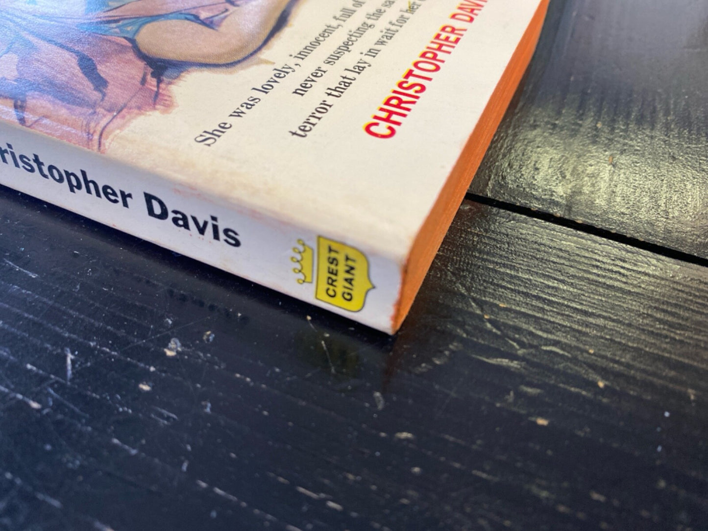 Lost Summer by Christopher Davis 1959 Crest Giant d319 Paperback