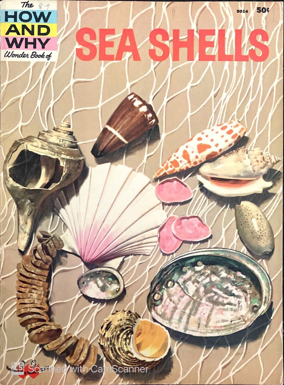 The How and Why Wonder Book of Sea Shells by Donald F. Low 1961 Paperback