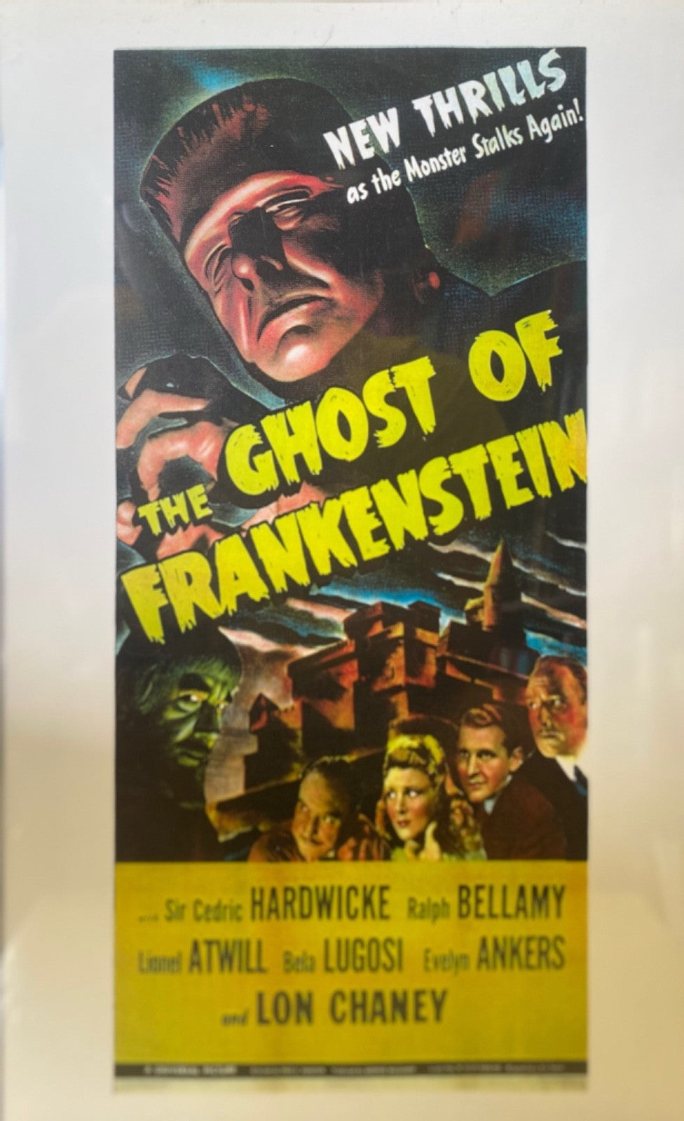 926bb7db-1d6b-4ad0-abf4-296c948260fe