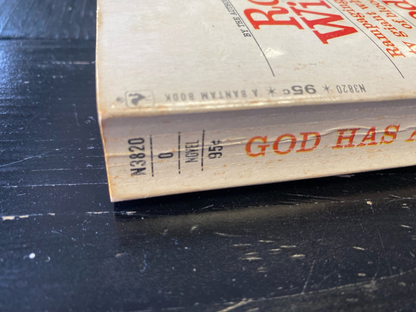 God Has a Long Face by Robert Wilder 1968 Bantam N3820 Paperback