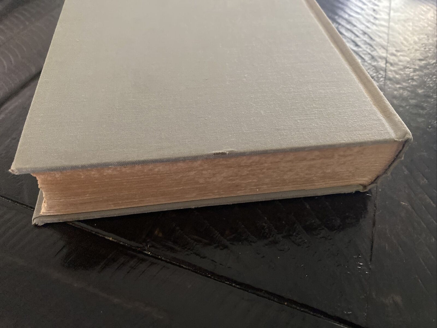 Munich Playground by Ernest R. Pope 1941 Putnam Hardcover First Edition
