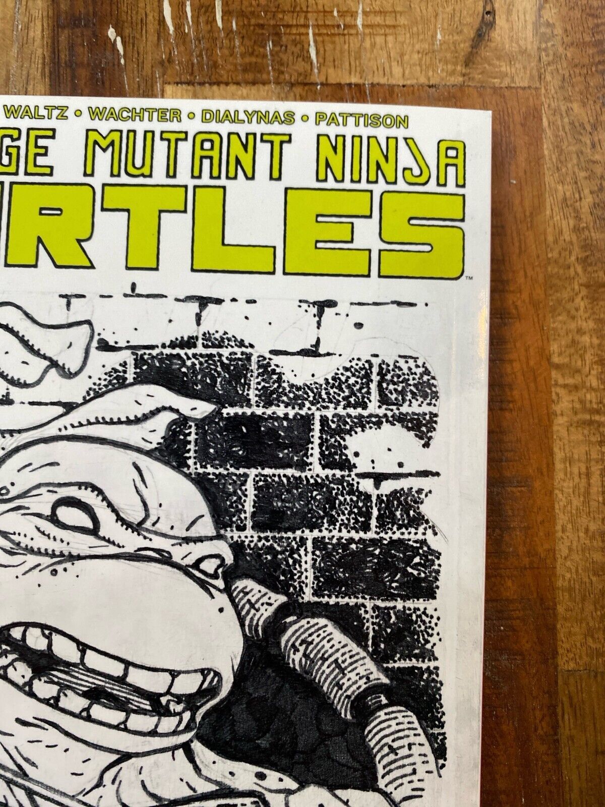 IDW Teenage Mutant Ninja Turtles #100 David Petersen Original Art Michaelangelo