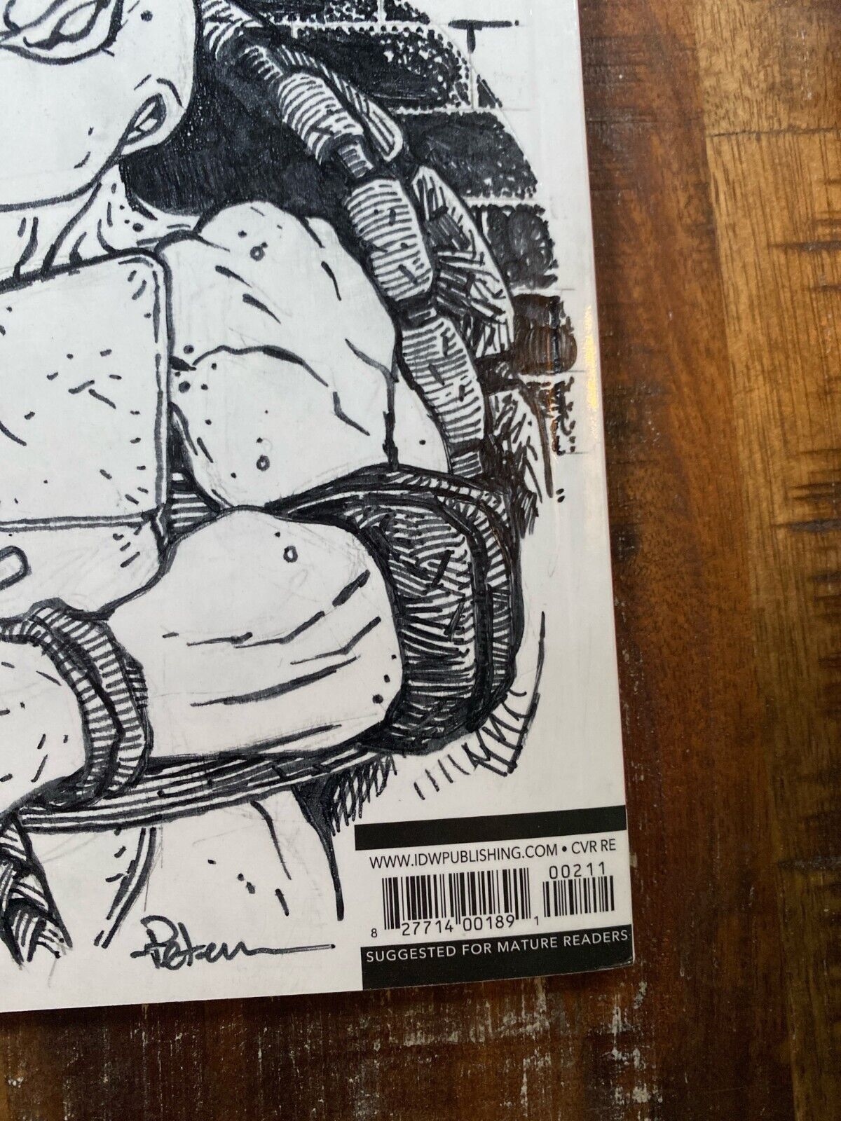 IDW Teenage Mutant Ninja Turtles #100 RE David Petersen Original Art Leonardo