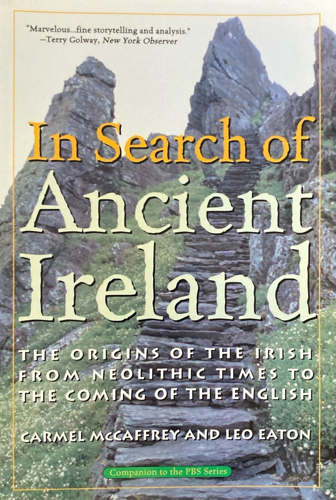 In Search of Ancient Ireland by Carmel McCaffrey & Leo Eaton 2002 Paperback