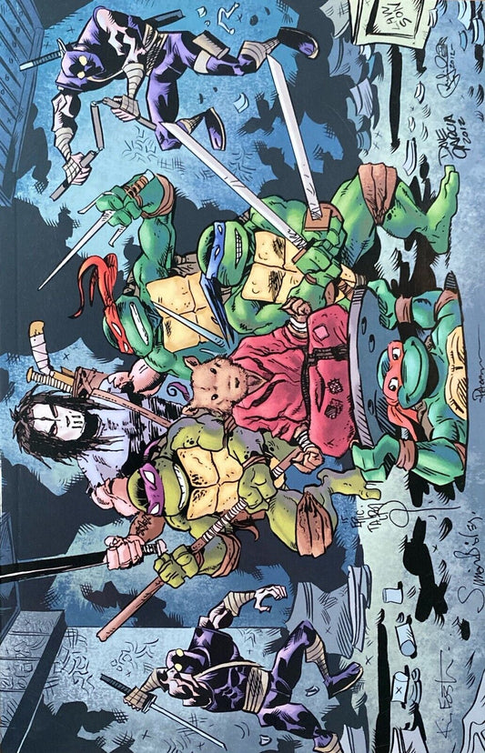 IDW Teenage Mutant Ninja Turtles #100 David Petersen Original Art Michaelangelo