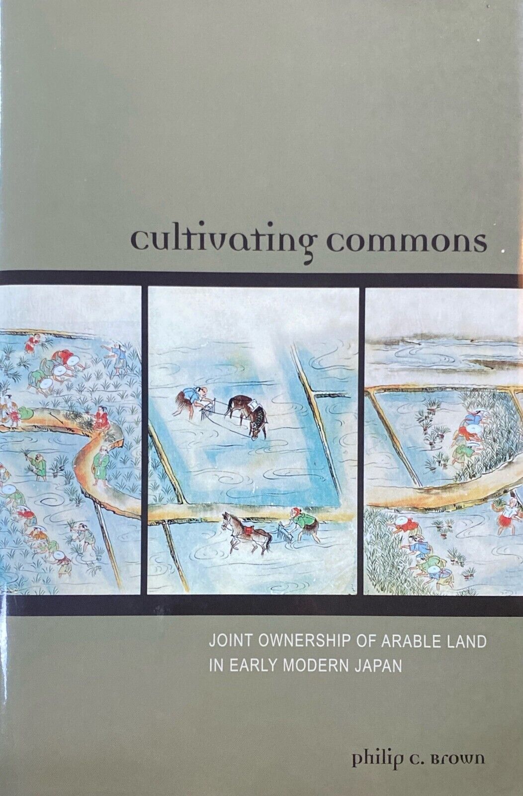 Cultivating Commons: Joint Ownership of Arable Land in Early Modern Japan Brown