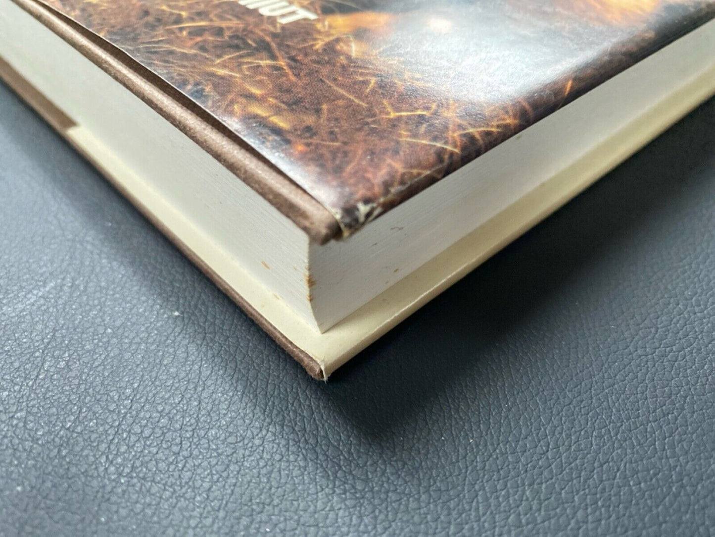 Alaska Bear Tales by Larry Kaniut 1990 Alaska Northwest Press Hardcover