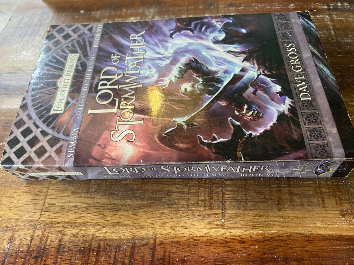 Lord of Stormweather by Dave Gross Wizards of the Coast Forgotten Realms Sembia