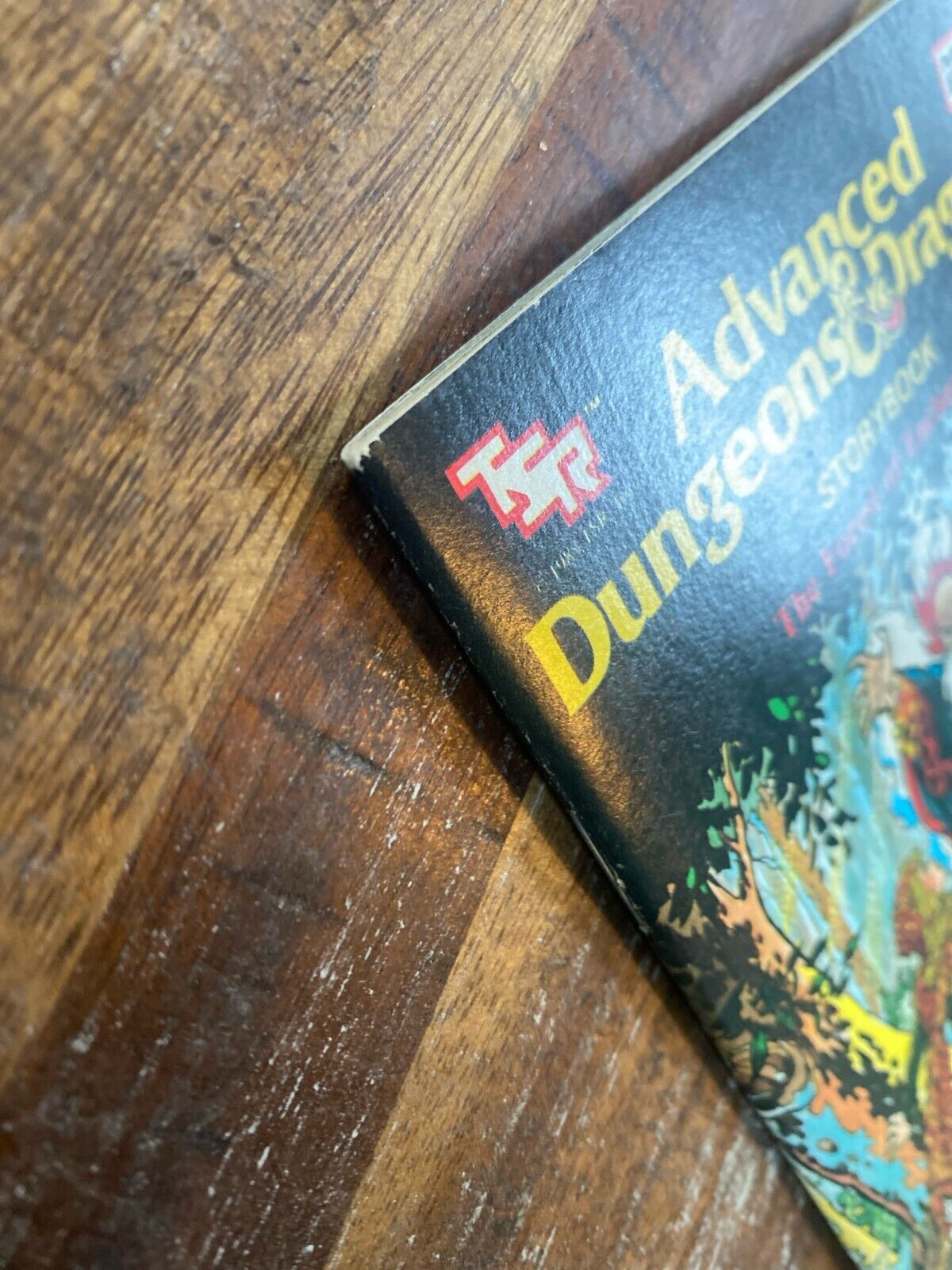 Advanced Dungeons & Dragons Storybook: The Forest of Enchantment Marvel Books
