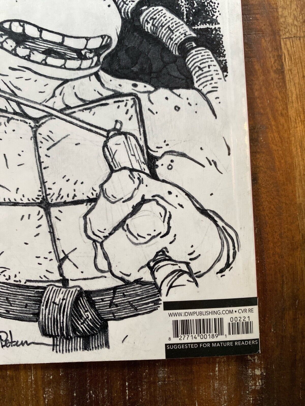 IDW Teenage Mutant Ninja Turtles #100 David Petersen Original Art Michaelangelo