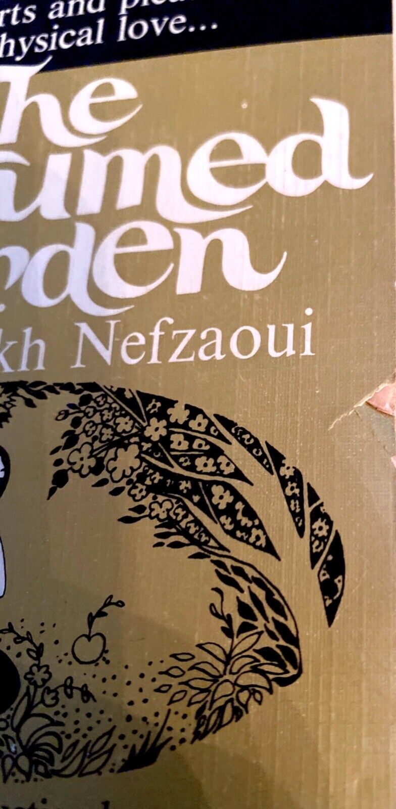 The Perfumed Garden of the Sheikh Nefzaoui: A Manual of Arabian Erotology 1964