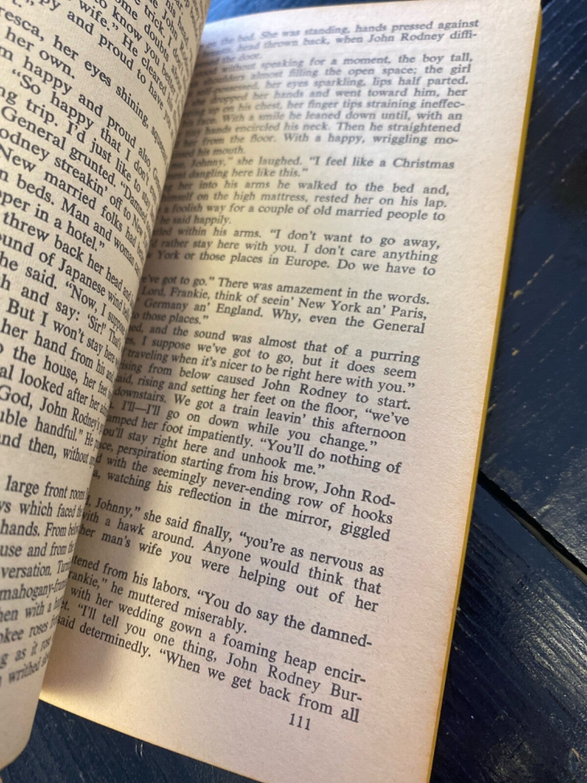 God Has a Long Face by Robert Wilder 1968 Bantam N3820 Paperback