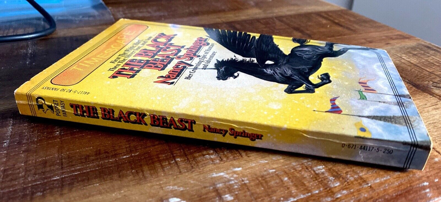 The Black Beast by Nancy Springer 1982 Pocket Timescape Paperback