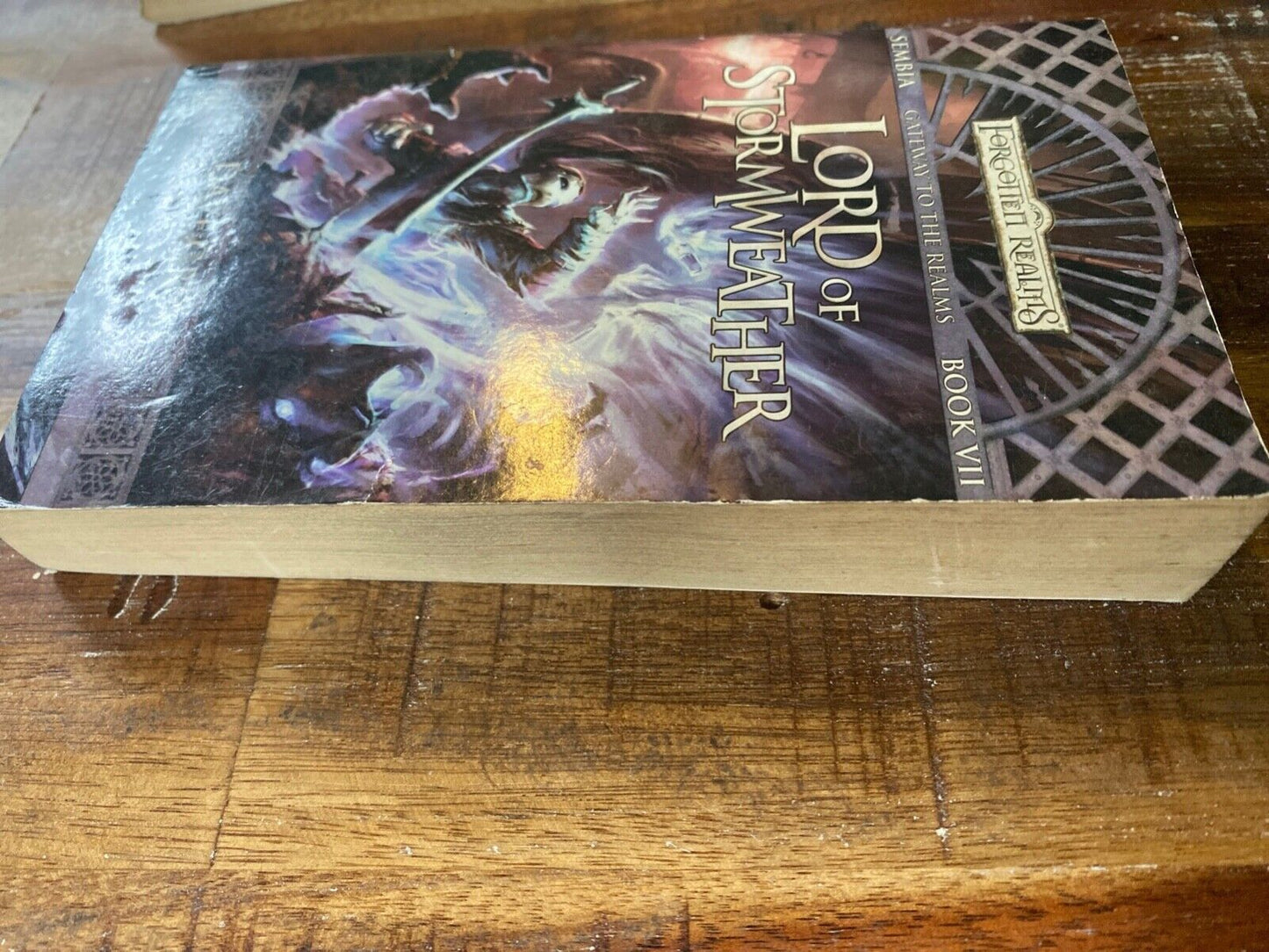 Lord of Stormweather by Dave Gross Wizards of the Coast Forgotten Realms Sembia