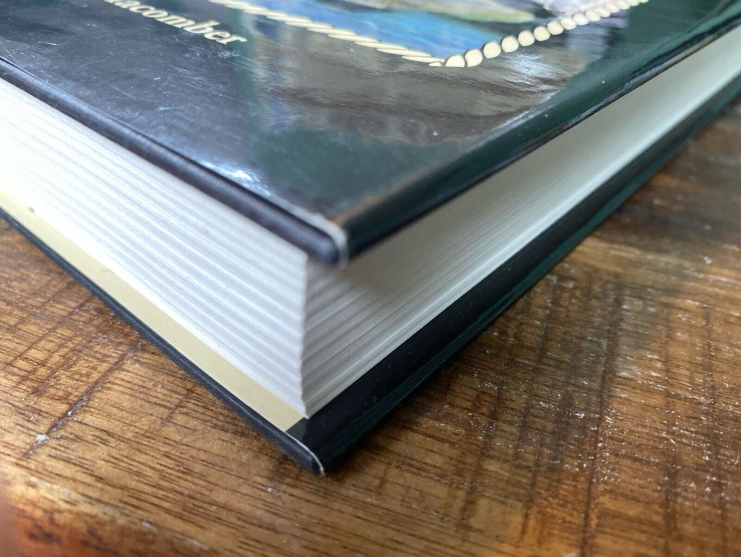 A Dishonorable Few by Robert N. Macomber 2005 Pineapple Press Hardcover