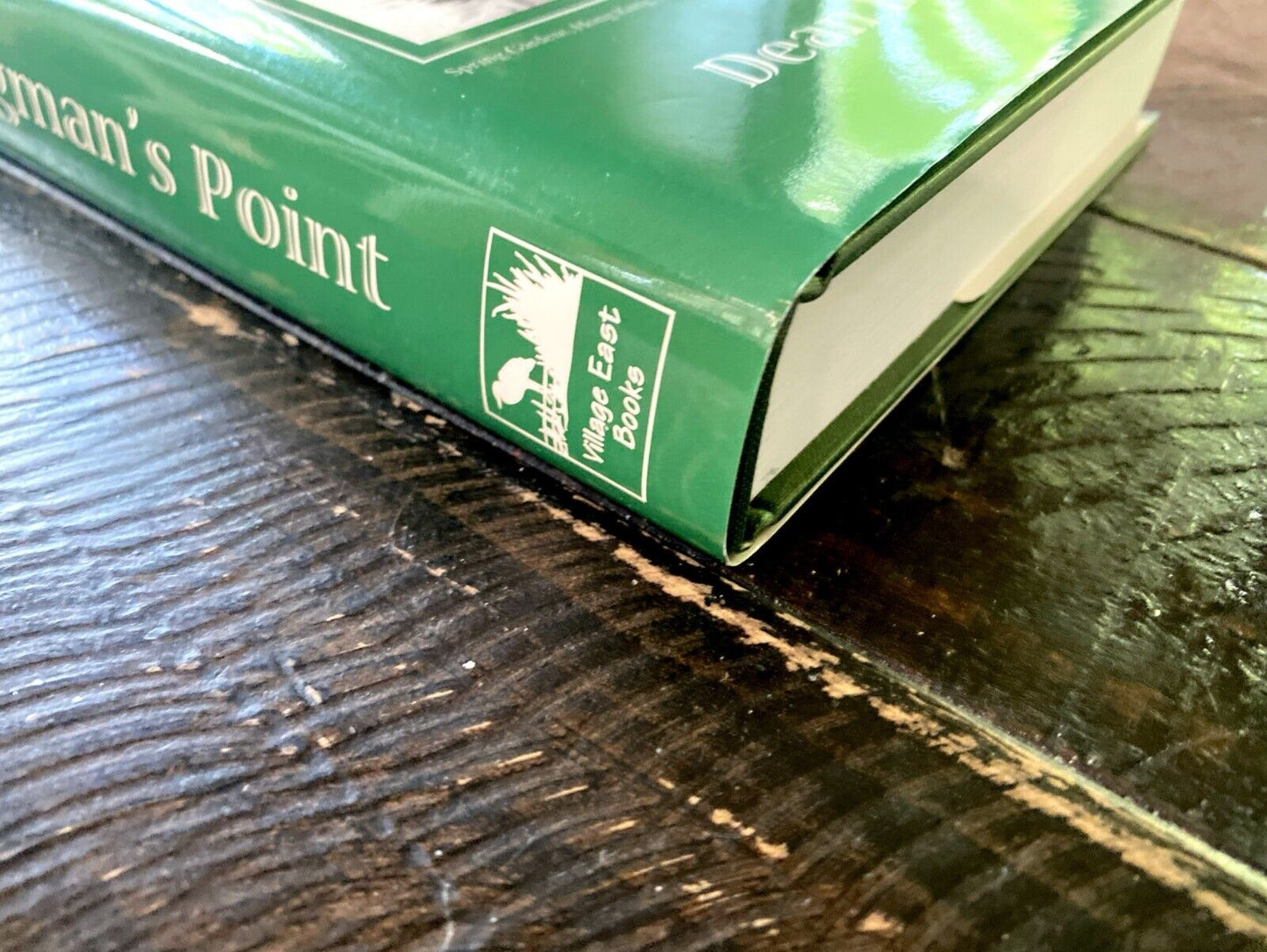 Hangman's Point:A Novel of Hong Kong by Dean Barrett 1998 Village East Hardcover