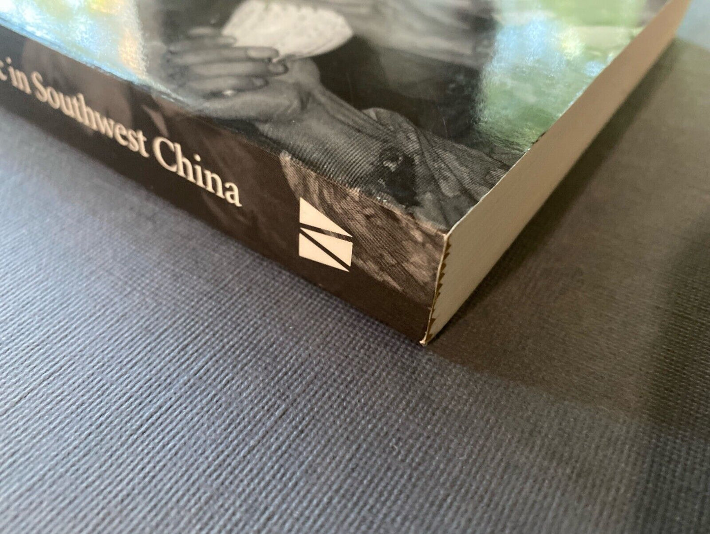 Ways of Being Ethnic in Southwest China by Steven Harrrell 2001 Univ. Washington