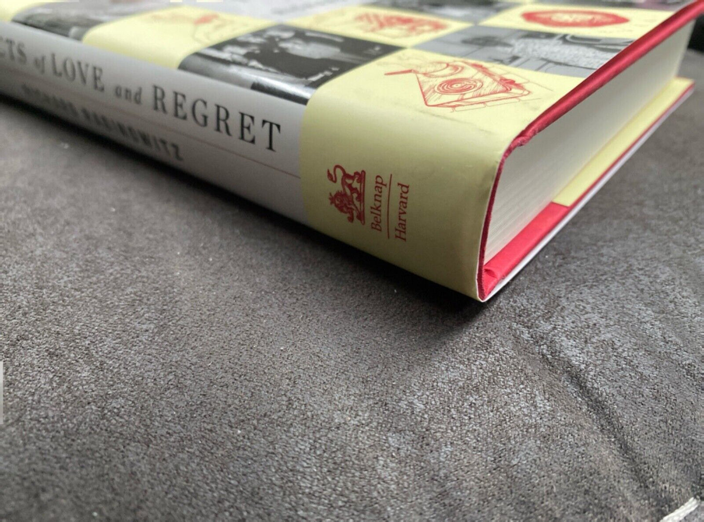 Objects of Love and Regret by Richard Rabinowitz 2022 Harvard Press Hardcover