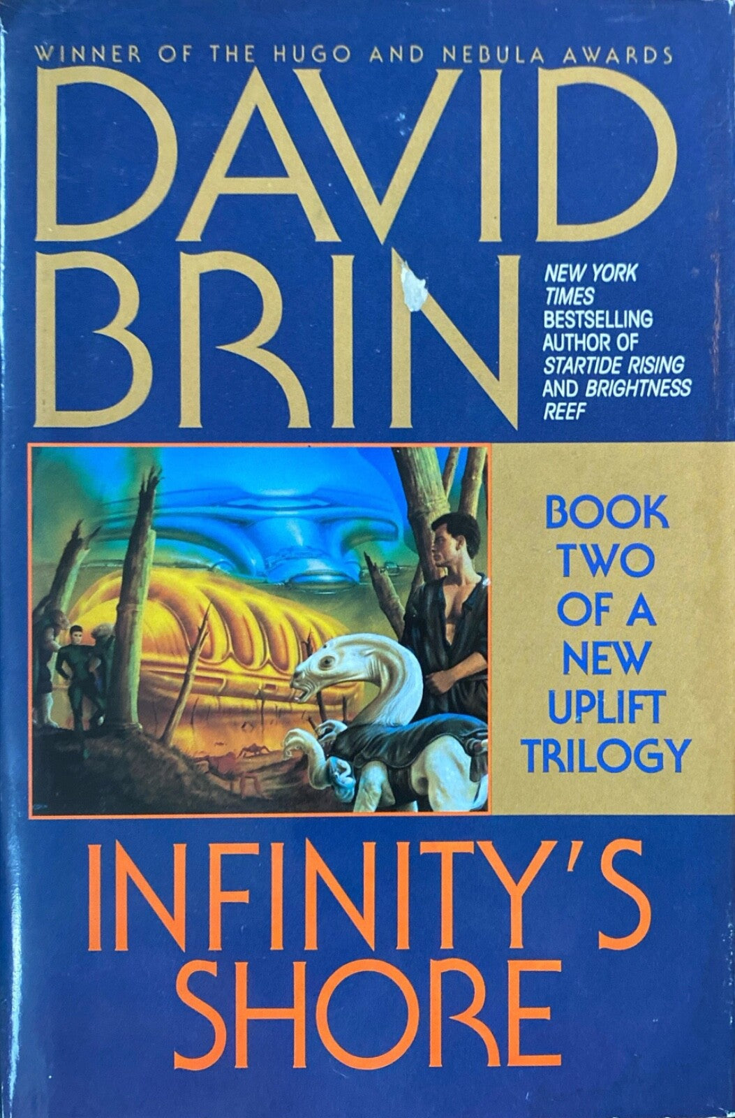 Infinity's Shore by David Brin 1996 Bantam Hardcover BCE