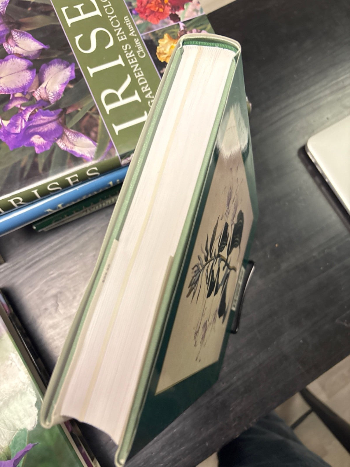 cb4e92f6-1f64-4f25-90d6-d4e1449884fc