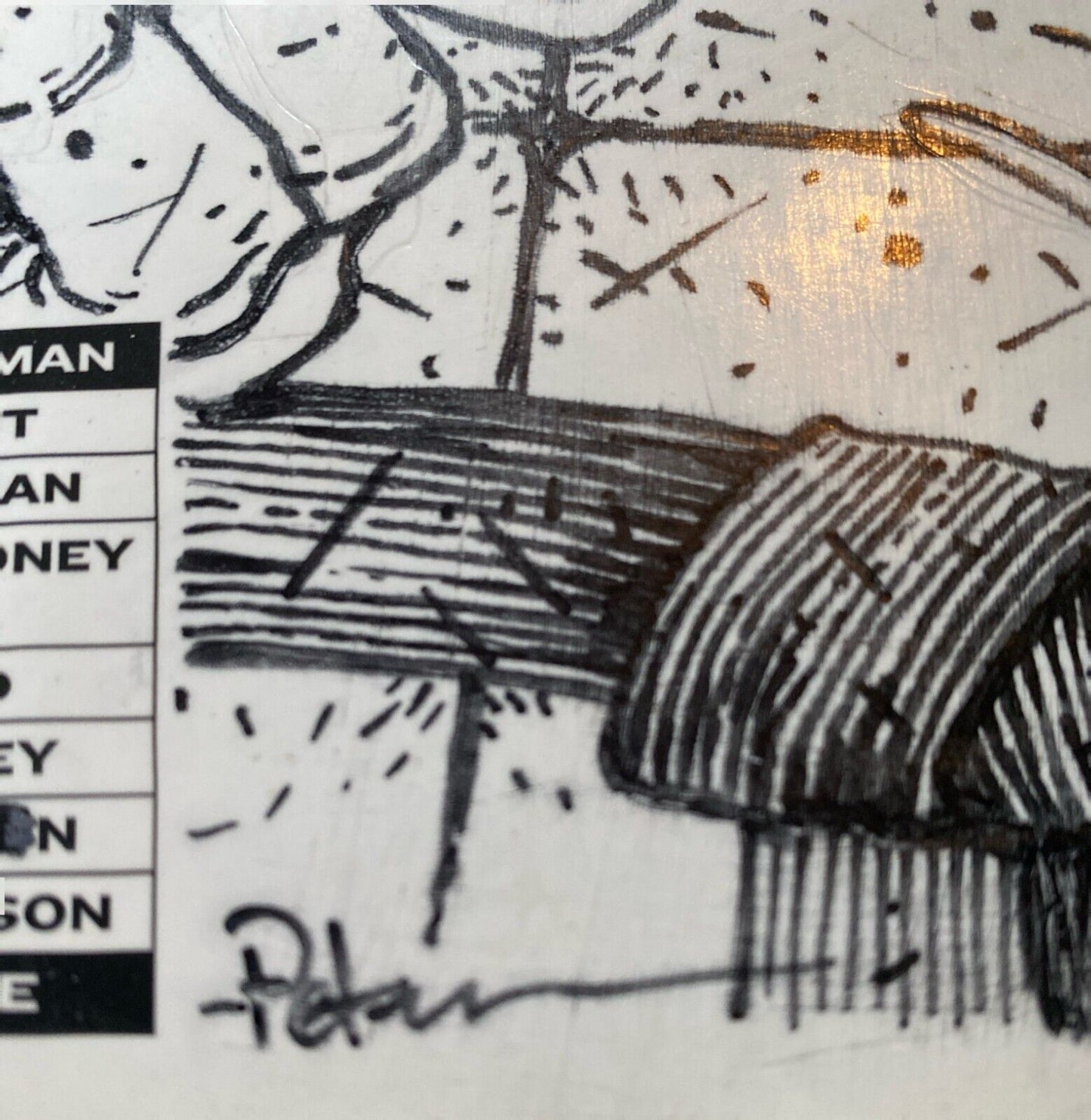 IDW Teenage Mutant Ninja Turtles #100 RE David Petersen Original Art Raphael