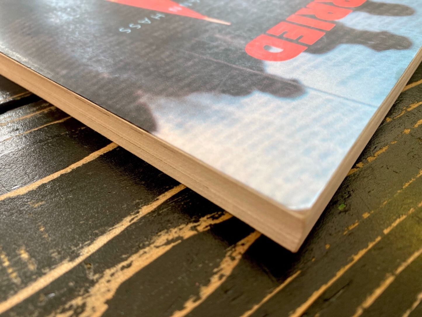 Carried to the Wall: American Memory and the Vietnam Veterans Memorial by Hass