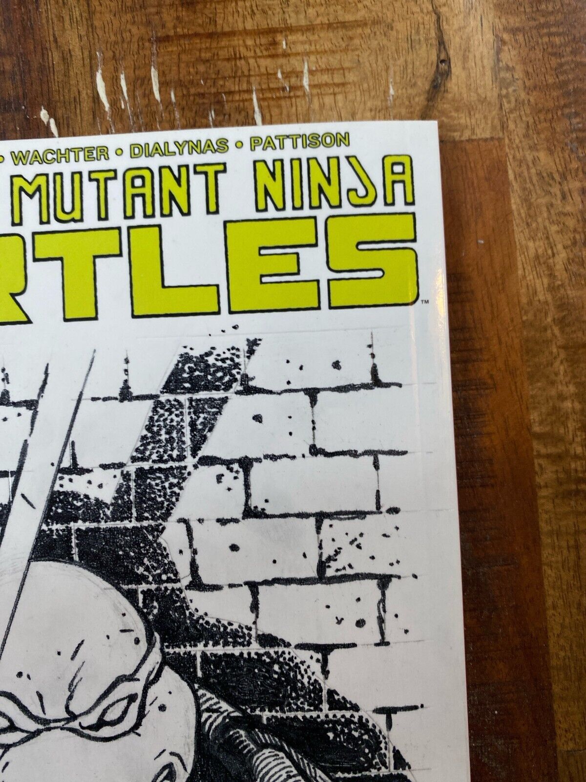 IDW Teenage Mutant Ninja Turtles #100 RE David Petersen Original Art Leonardo