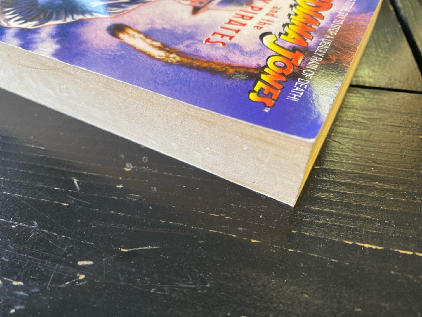 Indiana Jones and the Sky Pirates by Martin Caidin 2008 Bantam Paperback