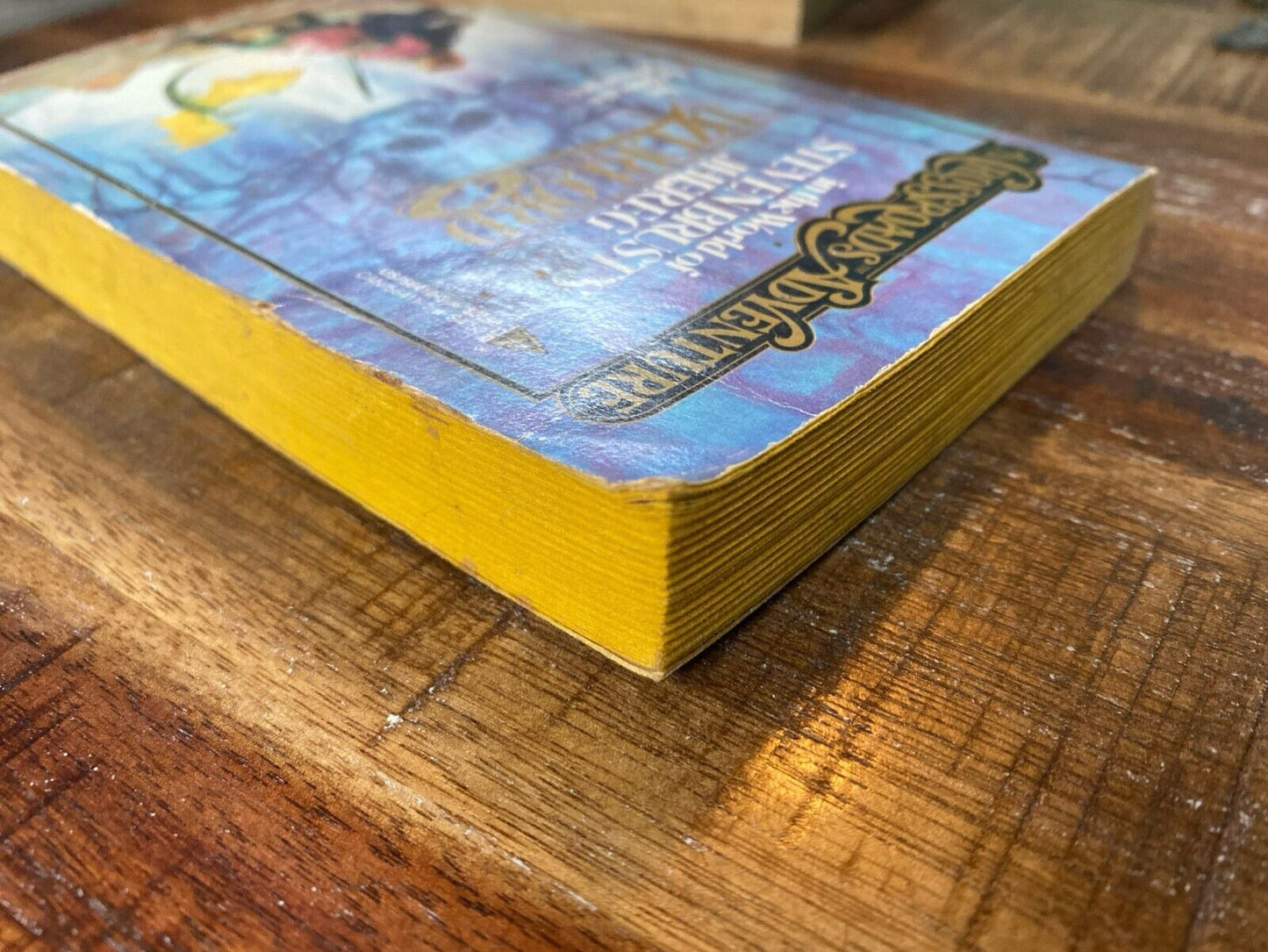 Dzurlord by Adventure Architects 1987 Tor Paperback A Crossroads Adventure