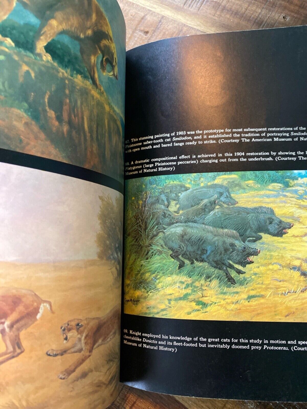 Dinosaurs, Mammoths, and Cavemen: The Art of Charles R. Knight 1982 Dutton TPB