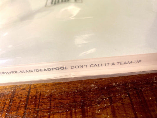 Marvel Comics Spider-man/Deadpool Volume 0: Don't Call it a Team-up Paperback