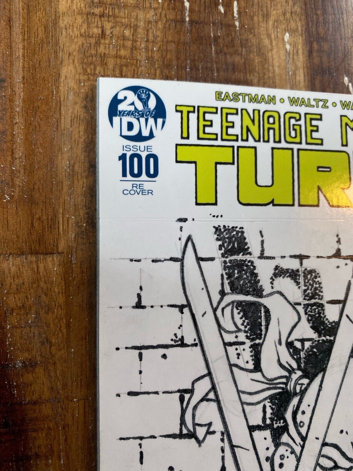 IDW Teenage Mutant Ninja Turtles #100 RE David Petersen Original Art Leonardo