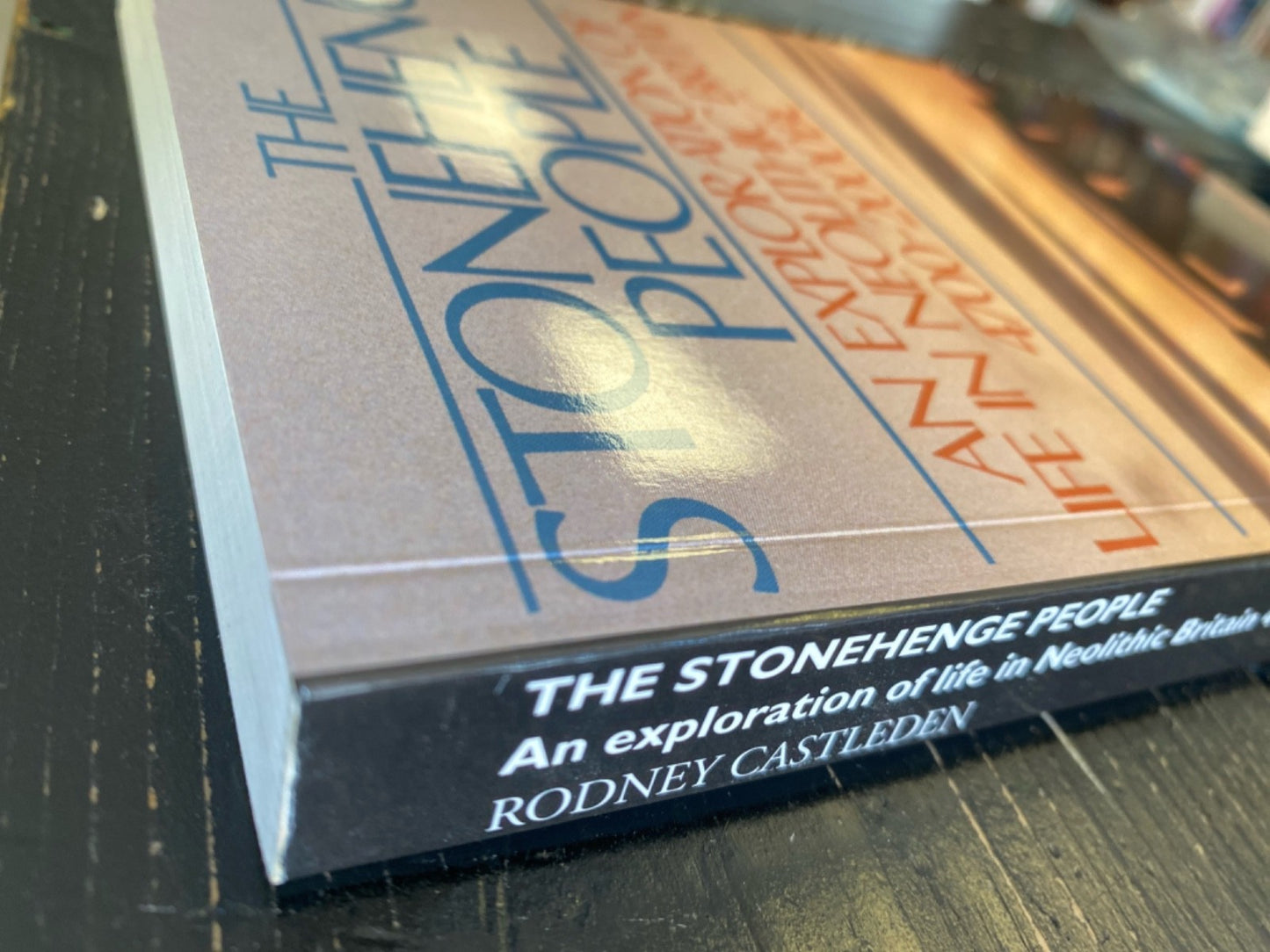 The Stonehenge People by Rodney Castleden 1998 Routledge Trade Paperback