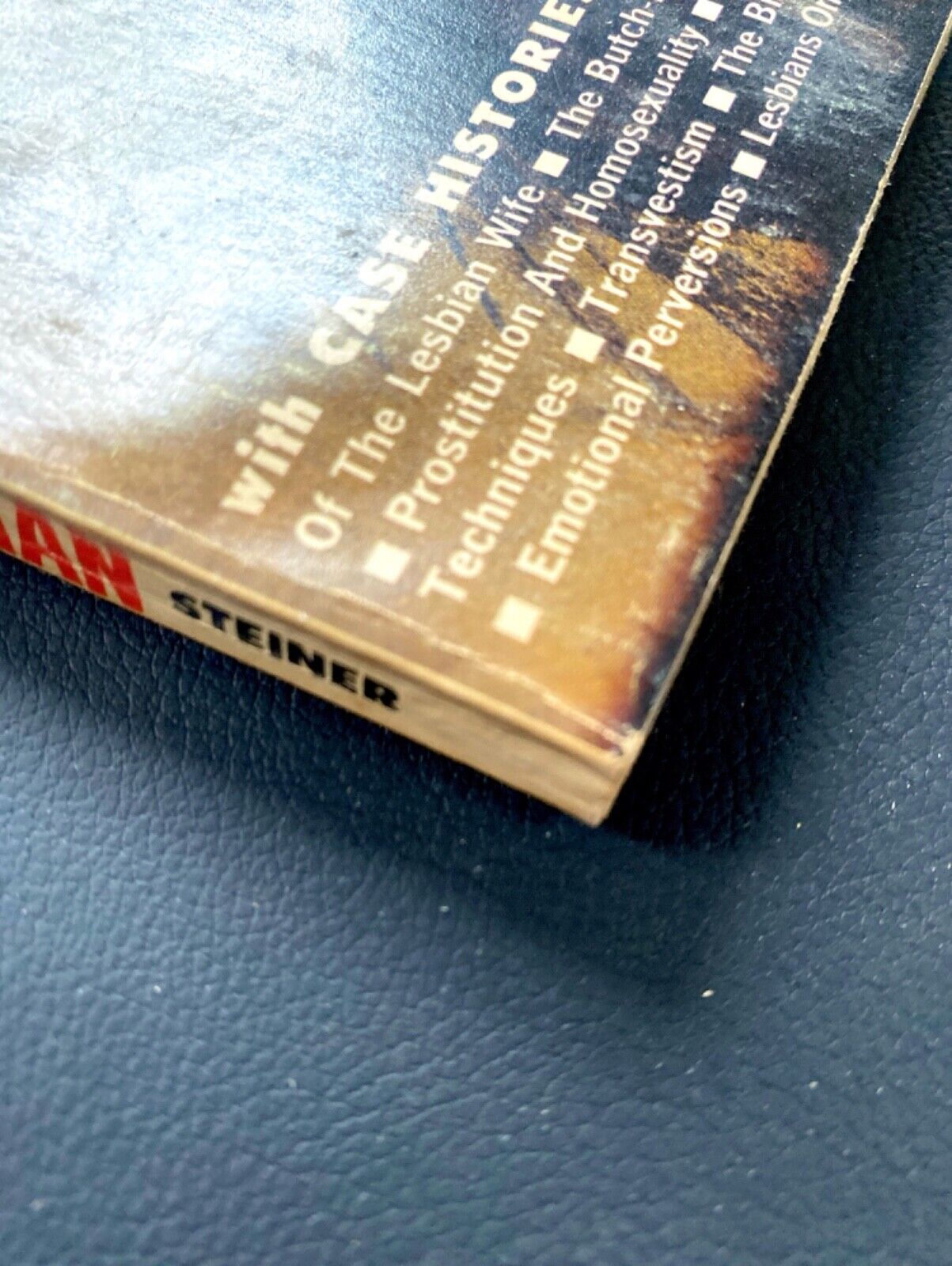 Sex Behavior of the Lesbian by Lucius B. Steiner 1964 Viceroy VP-111 Paperback