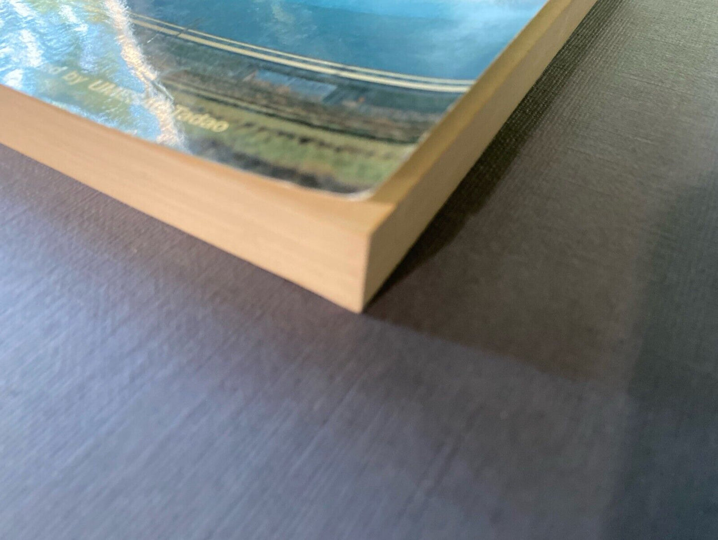 Seventy-Seven Keys to the Civilization of Japan edited by Umesao-Tadao Paperback