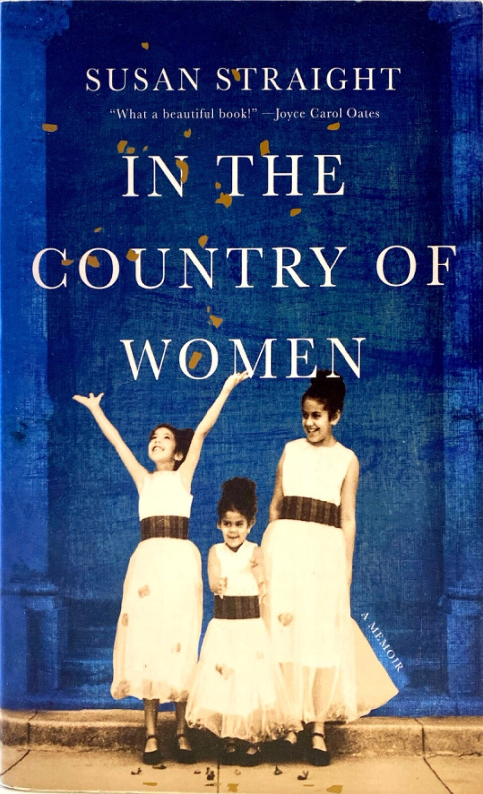 In the Country of Women by Susan Straight 2020 Catapult Trade Paperback