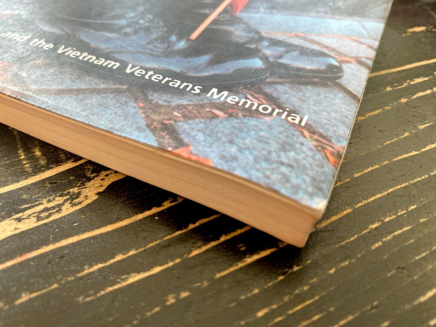 Carried to the Wall: American Memory and the Vietnam Veterans Memorial by Hass