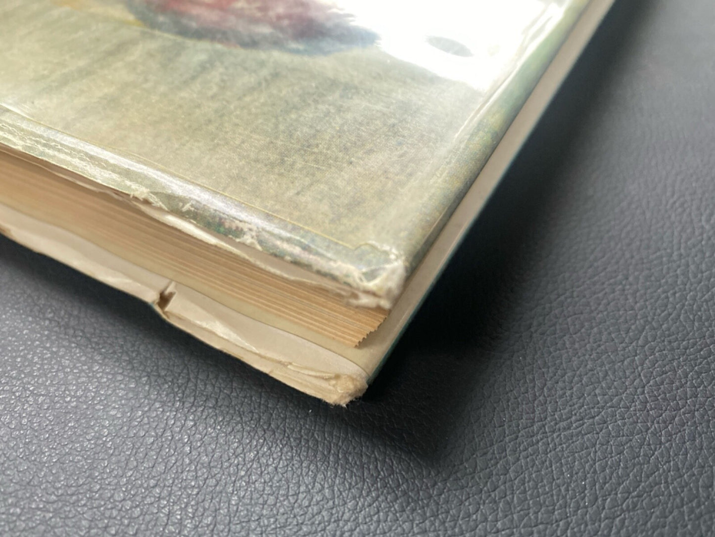 The Unknown Degas and Renoir in the National Museum of Belgrade 1964 Hardcover